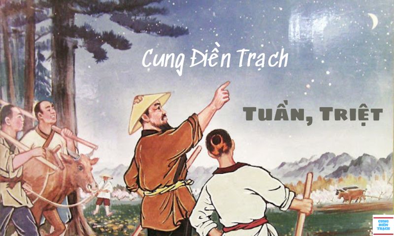 Khám Phá Sâu Hơn Về Cung Điền Trạch bị Tuần, Triệt