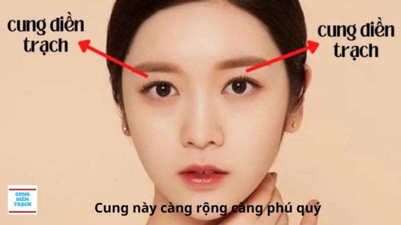 Cung Điền Trạch là gì?