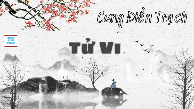 Tử Vi Cung Điền Trạch và ẩn số về nhà cửa, đất đai