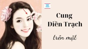 Giải mã Cung Điền Trạch trên mặt